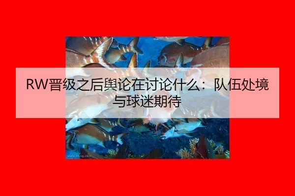 jin-ji-zhi-hou-yu-lun-zai-tao-lun-shen-me-dui-wu-chu-jing-yu-qiu-mi-qi-dai-2-159.jpg